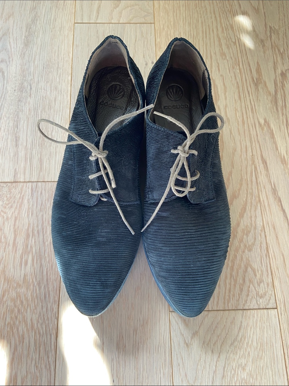 COCLICO Navy Corduroy Derby Lace-Up Shoes
